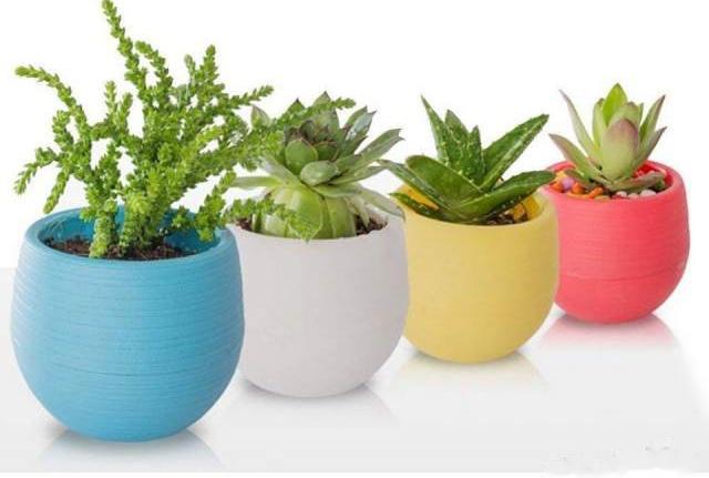 Không hiểu mẹ tôi thả vỏ trứng vào xoong chảo đã cũ để làm gì nhưng biết rồi thì ai cũng muốn học theo-6