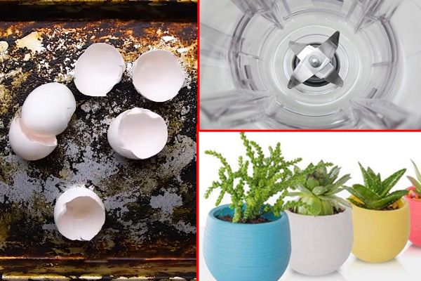 Chỉ bằng một quả chanh đánh bay mọi cặn bẩn trong lò vi sóng, tôi hối tiếc vì giờ mới biết đến cách này-9