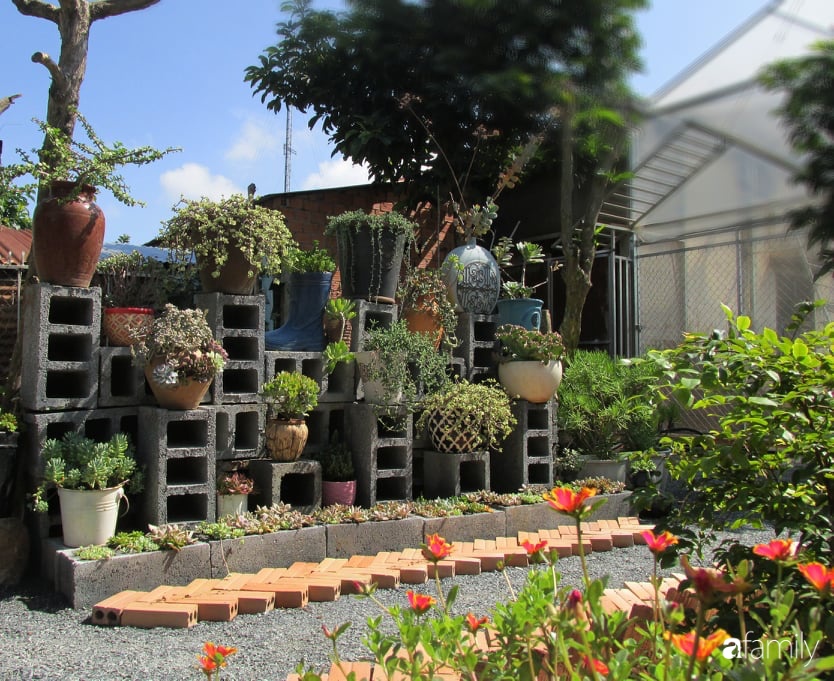 Chỉ tốn hơn 1 triệu đồng, mẹ trẻ biến hình mảnh đất nhỏ trở thành khu vườn trồng xương rồng, sen đá đẹp mê mẩn ở Đà Lạt-1