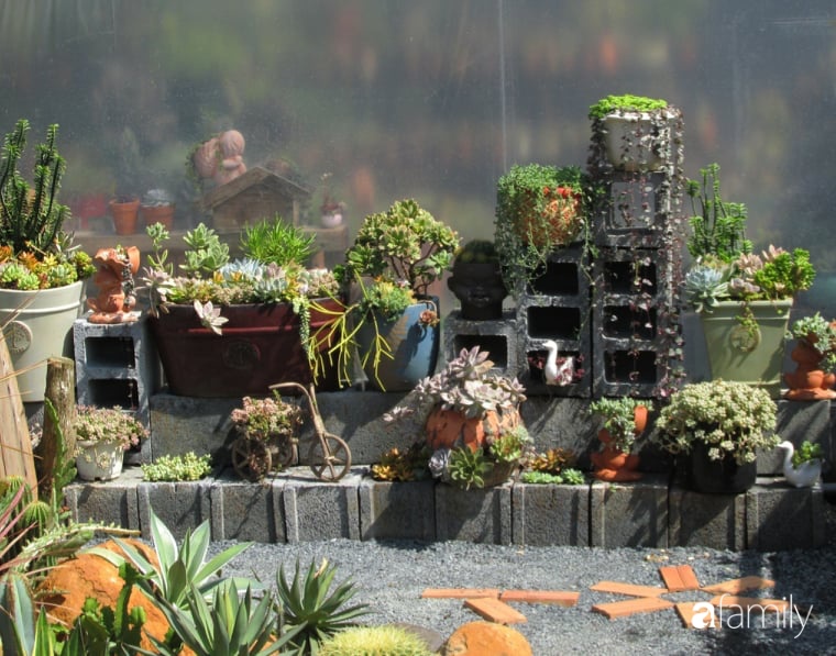 Chỉ tốn hơn 1 triệu đồng, mẹ trẻ biến hình mảnh đất nhỏ trở thành khu vườn trồng xương rồng, sen đá đẹp mê mẩn ở Đà Lạt-2