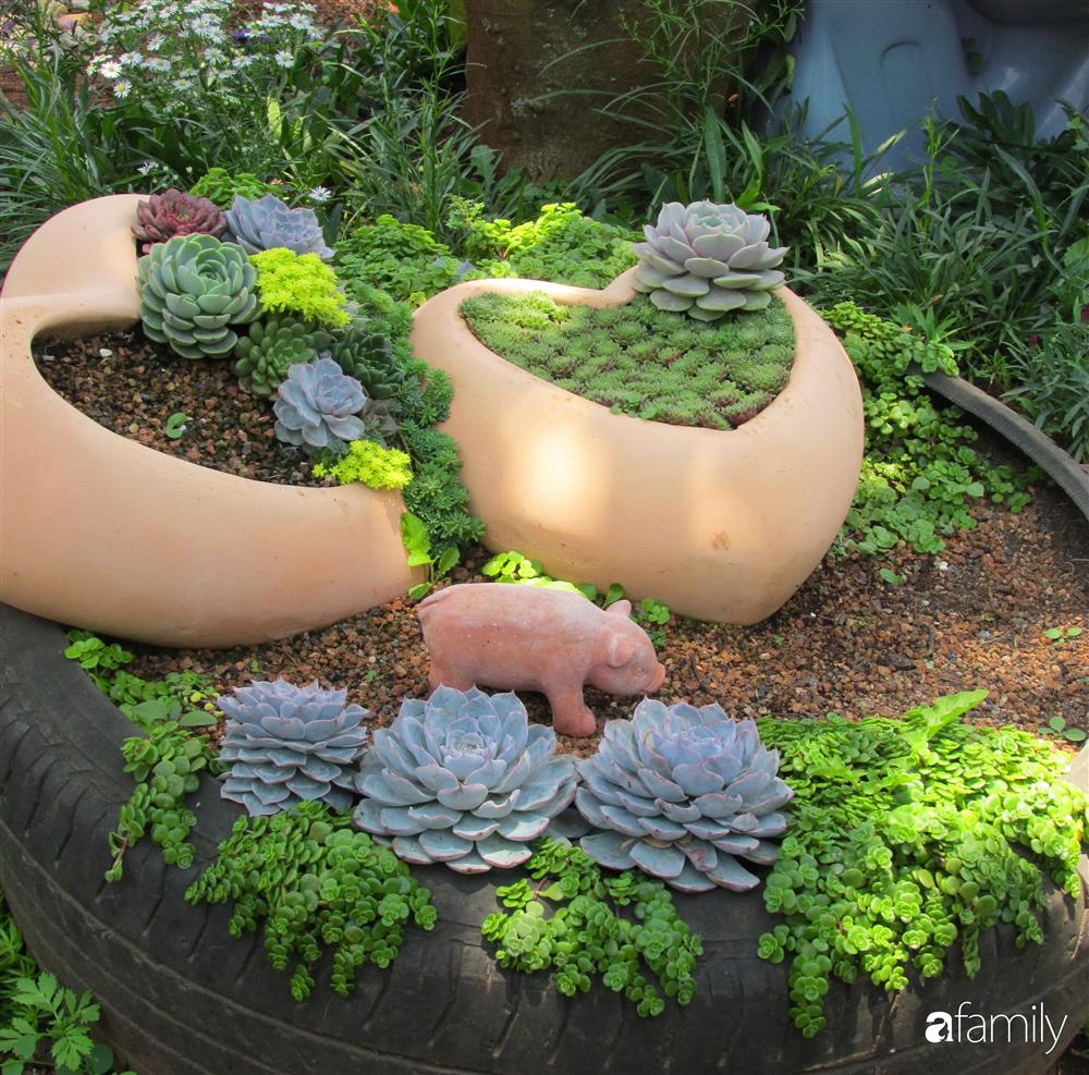 Chỉ tốn hơn 1 triệu đồng, mẹ trẻ biến hình mảnh đất nhỏ trở thành khu vườn trồng xương rồng, sen đá đẹp mê mẩn ở Đà Lạt-5