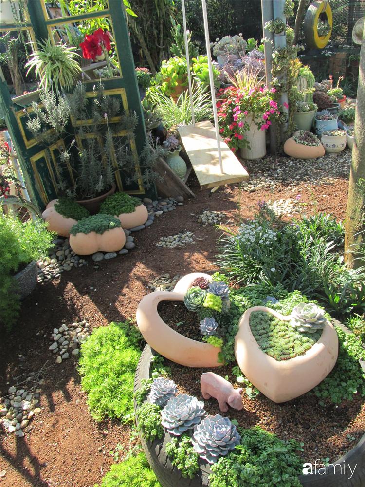 Chỉ tốn hơn 1 triệu đồng, mẹ trẻ biến hình mảnh đất nhỏ trở thành khu vườn trồng xương rồng, sen đá đẹp mê mẩn ở Đà Lạt-9