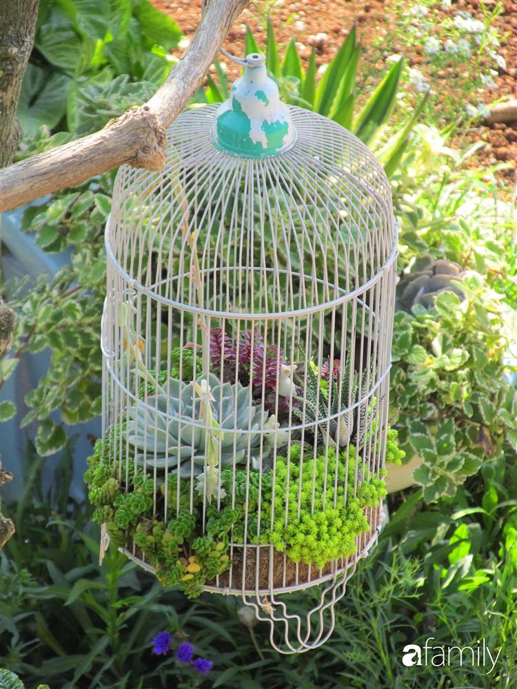 Chỉ tốn hơn 1 triệu đồng, mẹ trẻ biến hình mảnh đất nhỏ trở thành khu vườn trồng xương rồng, sen đá đẹp mê mẩn ở Đà Lạt-10