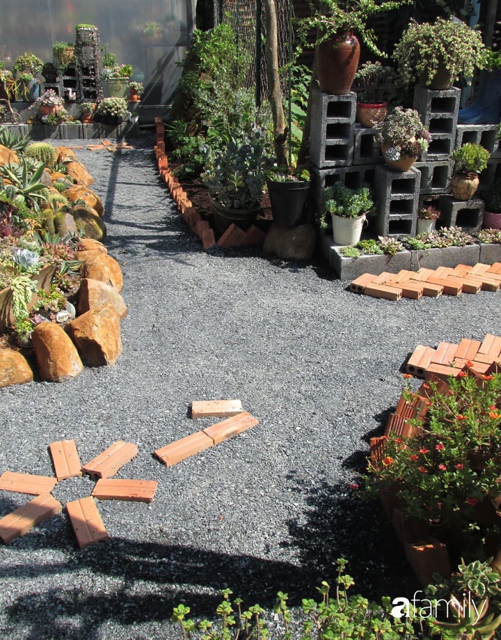 Chỉ tốn hơn 1 triệu đồng, mẹ trẻ biến hình mảnh đất nhỏ trở thành khu vườn trồng xương rồng, sen đá đẹp mê mẩn ở Đà Lạt-13