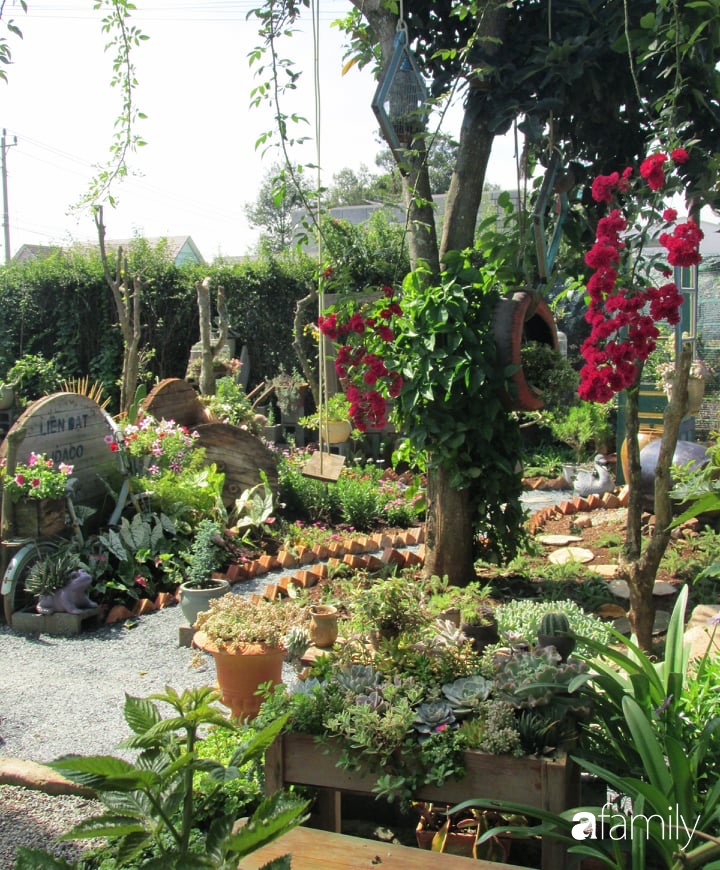 Chỉ tốn hơn 1 triệu đồng, mẹ trẻ biến hình mảnh đất nhỏ trở thành khu vườn trồng xương rồng, sen đá đẹp mê mẩn ở Đà Lạt-15