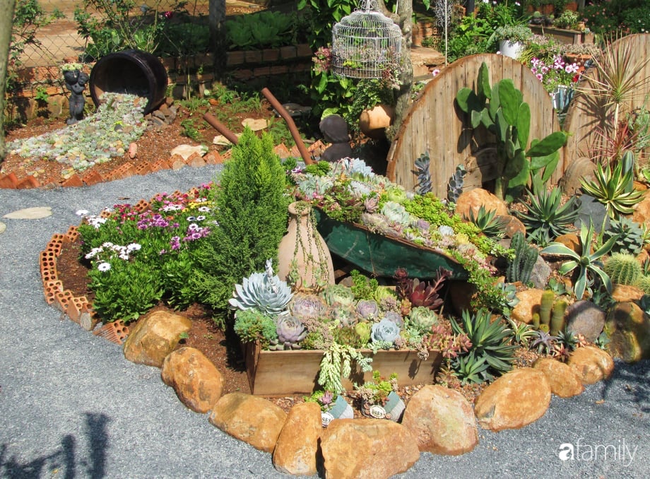 Chỉ tốn hơn 1 triệu đồng, mẹ trẻ biến hình mảnh đất nhỏ trở thành khu vườn trồng xương rồng, sen đá đẹp mê mẩn ở Đà Lạt-17