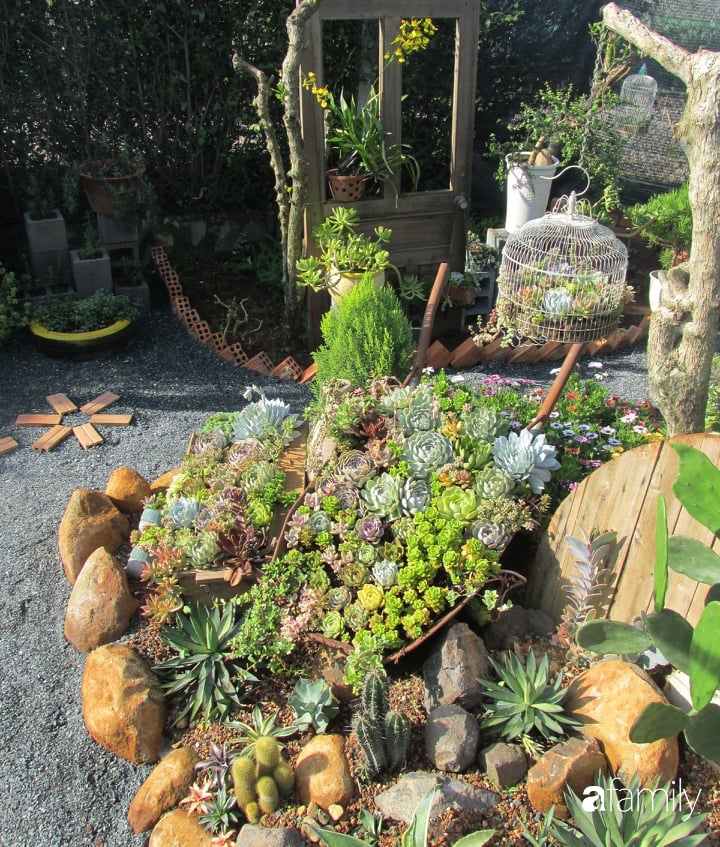 Chỉ tốn hơn 1 triệu đồng, mẹ trẻ biến hình mảnh đất nhỏ trở thành khu vườn trồng xương rồng, sen đá đẹp mê mẩn ở Đà Lạt-20
