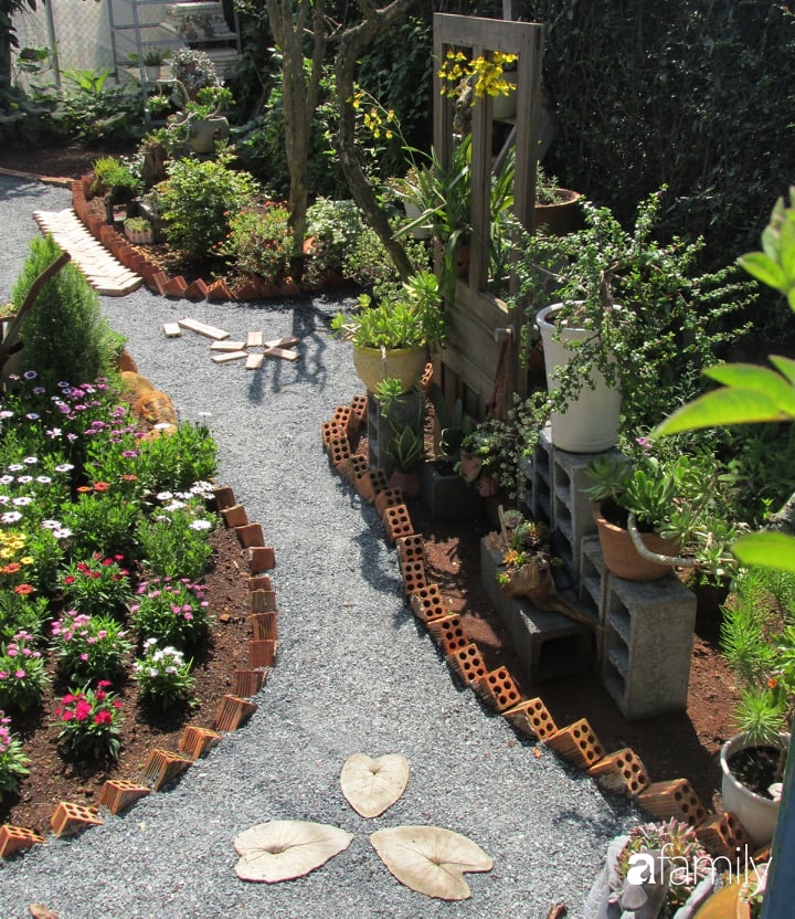 Chỉ tốn hơn 1 triệu đồng, mẹ trẻ biến hình mảnh đất nhỏ trở thành khu vườn trồng xương rồng, sen đá đẹp mê mẩn ở Đà Lạt-21