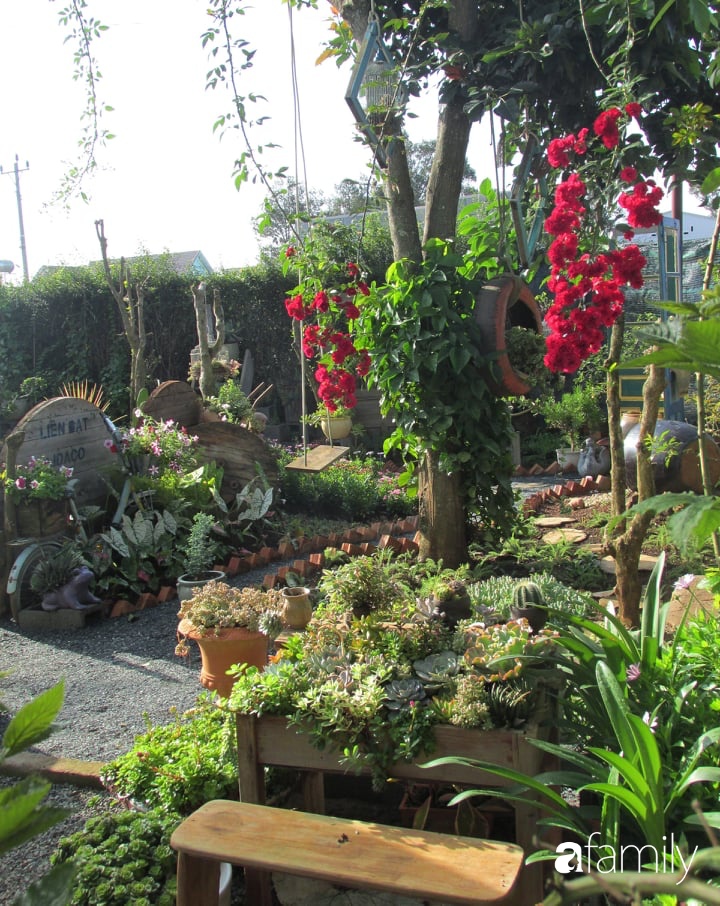 Chỉ tốn hơn 1 triệu đồng, mẹ trẻ biến hình mảnh đất nhỏ trở thành khu vườn trồng xương rồng, sen đá đẹp mê mẩn ở Đà Lạt-22