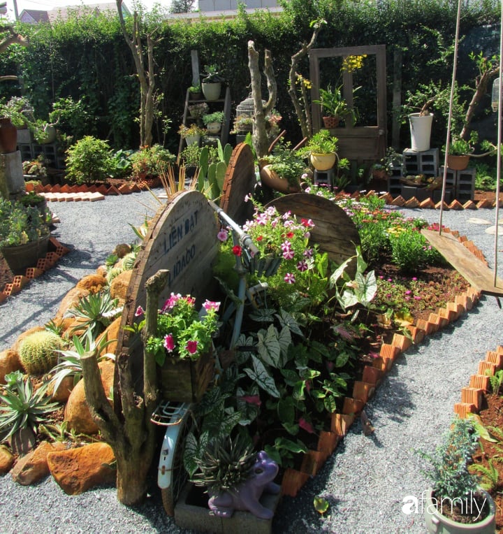 Chỉ tốn hơn 1 triệu đồng, mẹ trẻ biến hình mảnh đất nhỏ trở thành khu vườn trồng xương rồng, sen đá đẹp mê mẩn ở Đà Lạt-23