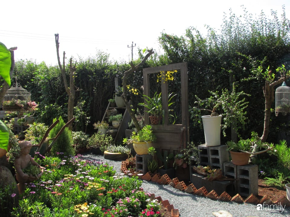 Chỉ tốn hơn 1 triệu đồng, mẹ trẻ biến hình mảnh đất nhỏ trở thành khu vườn trồng xương rồng, sen đá đẹp mê mẩn ở Đà Lạt-26