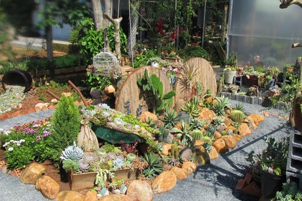 Khu vườn ngoại ô của người phụ nữ xinh đẹp rời phố vì thích trồng các loại cây gia vị-8