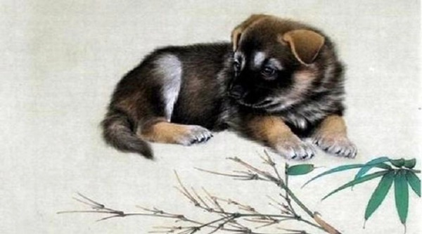 Tử vi 3 năm tới: Những con giáp được sao Thiên Hoàng chiếu mệnh, một bước lên mây đổi đời nhanh chóng-2