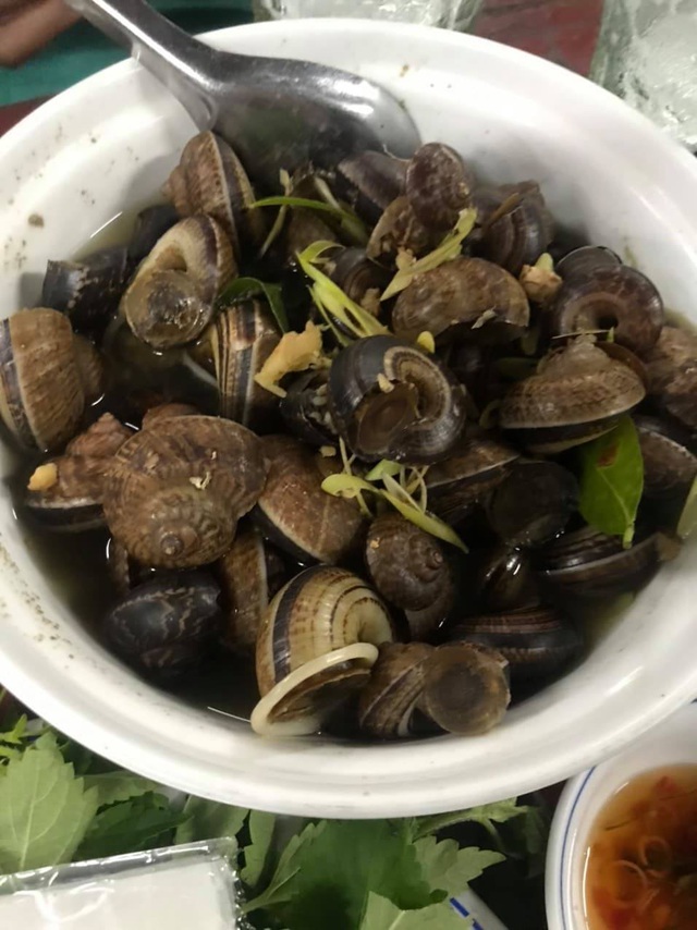 Ốc thuốc rừng sâu, nhà giàu ăn sang cũng chẳng biết tới-3