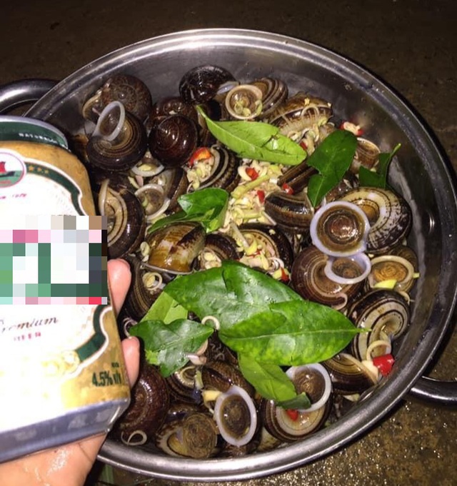 Ốc thuốc rừng sâu, nhà giàu ăn sang cũng chẳng biết tới-4
