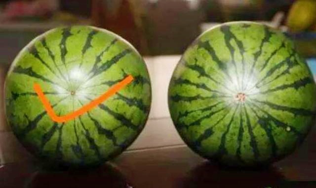 Không cần vỗ khi chọn dưa hấu, người trồng mách 1 cách đảm bảo dưa vỏ mỏng, ngọt xuất sắc-1