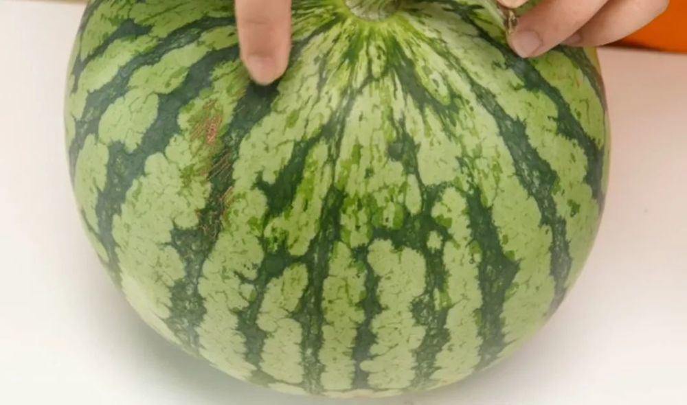 Không cần vỗ khi chọn dưa hấu, người trồng mách 1 cách đảm bảo dưa vỏ mỏng, ngọt xuất sắc-3