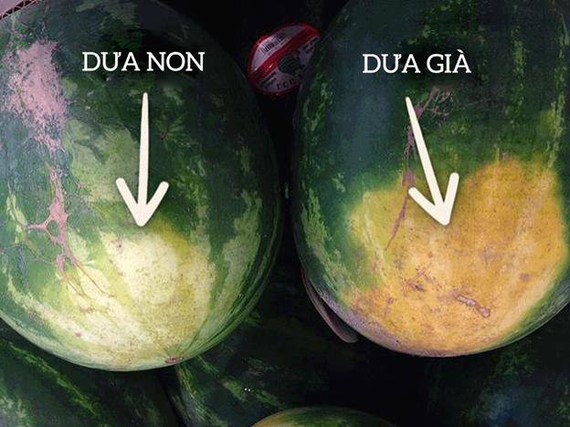 Không cần vỗ khi chọn dưa hấu, người trồng mách 1 cách đảm bảo dưa vỏ mỏng, ngọt xuất sắc-4