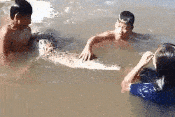 Nhóm trẻ em bơi lội, chơi đùa cùng cá sấu dưới nước trong lúc ông bố vẫn thản nhiên quay phim khiến nhiều người rùng mình