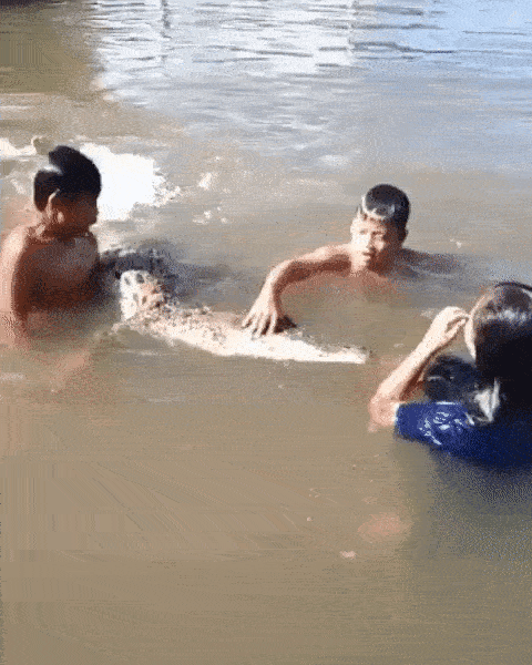 Nhóm trẻ em bơi lội, chơi đùa cùng cá sấu dưới nước trong lúc ông bố vẫn thản nhiên quay phim khiến nhiều người rùng mình-1
