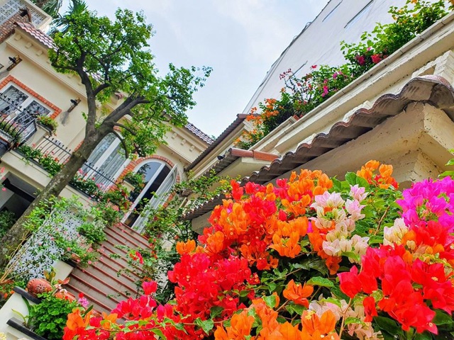 Nhà hoang ở Hà Nội biến hình ngoạn mục, gây sốt” mạng xã hội-4