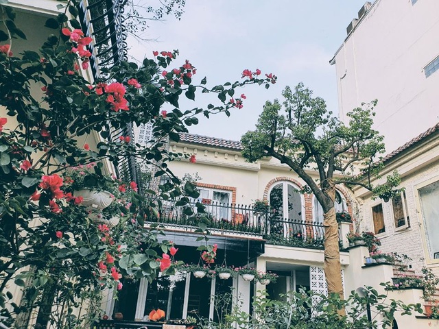 Nhà hoang ở Hà Nội biến hình ngoạn mục, gây sốt” mạng xã hội-10