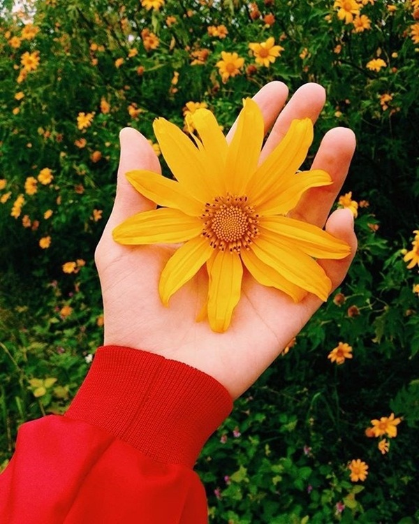 Tử vi thứ Tư ngày 8/7/2020 của 12 con giáp: Dần sức khỏe sa sút, Tỵ cẩn thận thị phi-5