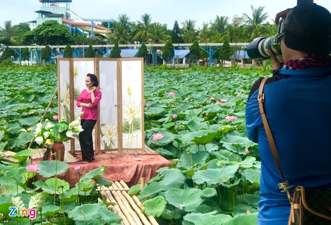 Dịch vụ ăn theo hốt bạc mùa sen nở-2