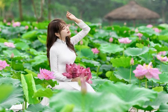 Dịch vụ ăn theo hốt bạc mùa sen nở