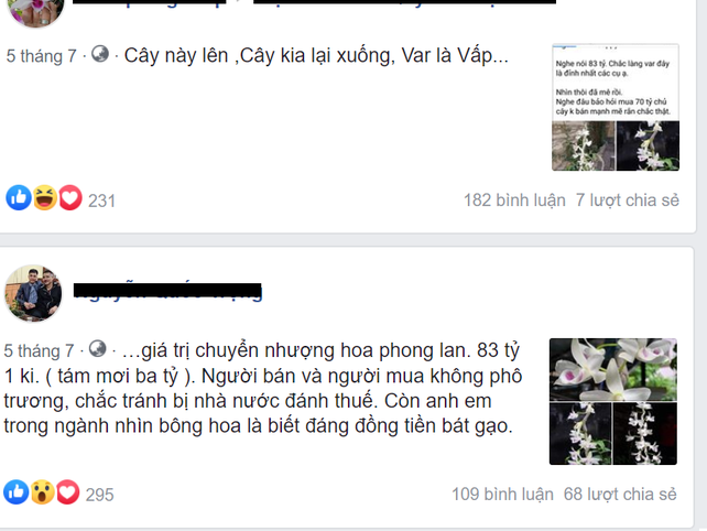 Bí ẩn chủ nhân chậu lan Juliet 83 tỷ, khiến cộng đồng cây cảnh chia phe-4