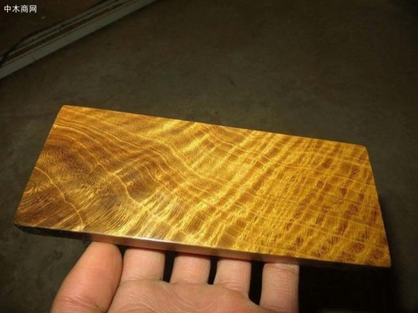 Cỗ quan tài gần 24 tỷ của Vua sòng bài Macau: Được làm từ loại gỗ đặc biệt thế nào khi chỉ có Hoàng đế ngày xưa mới được sử dụng?-3