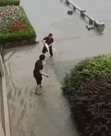 Lần đầu tiên trong lịch sử, đập thủy điện TQ mở toàn bộ cửa xả, khiến cá bay đầy trời-1