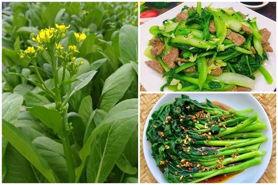 Cách làm các món ăn từ rau cải ngồng chống ngán tuyệt ngon