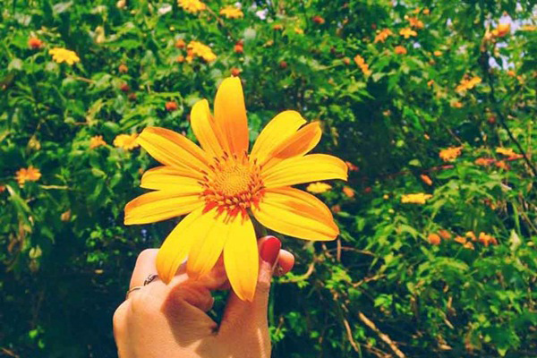 Cuối tháng 5 âm, con giáp trúng số độc đắc, được thần May mắn chiếu cố nên làm gì cũng toại nguyện-2