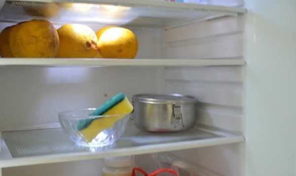 Tiện tay cho miếng bọt biển vào ngăn đá, tủ lạnh tiết kiệm điện cả năm, tay chân bong gân giảm đau tức thì-7