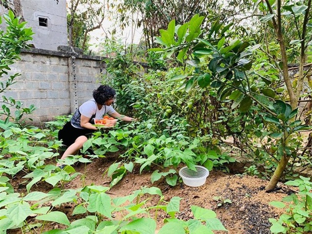 Chiêm ngưỡng nhà vườn bạc tỷ rau trái xum xuê, hoa nở bốn mùa của sao Việt-14