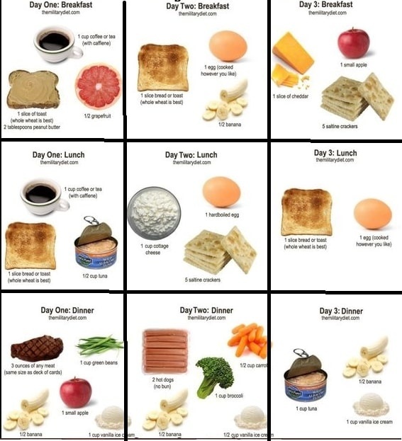 Tự tin diện bikini với thực đơn ăn kiêng kiểu quân đội, giảm 5kg chỉ trong 1 tuần-2