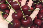 Cherry nhập khẩu rẻ chưa từng thấy, chỉ 299.000 đồng/kg bán đầy siêu thị-4
