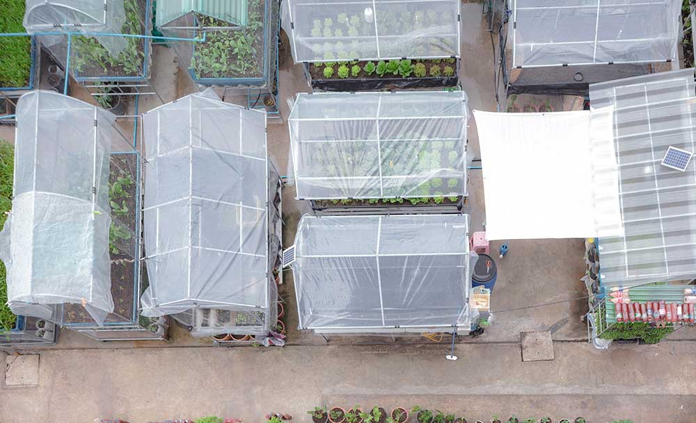 Vườn rau có một không hai với thiết kế ai nhìn lần đầu cũng muốn học tập của cặp đôi trẻ làm thiết kế đồ họa-4