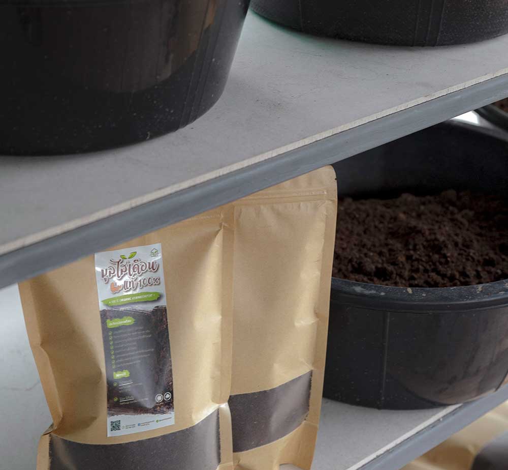 Vườn rau có một không hai với thiết kế ai nhìn lần đầu cũng muốn học tập của cặp đôi trẻ làm thiết kế đồ họa-13