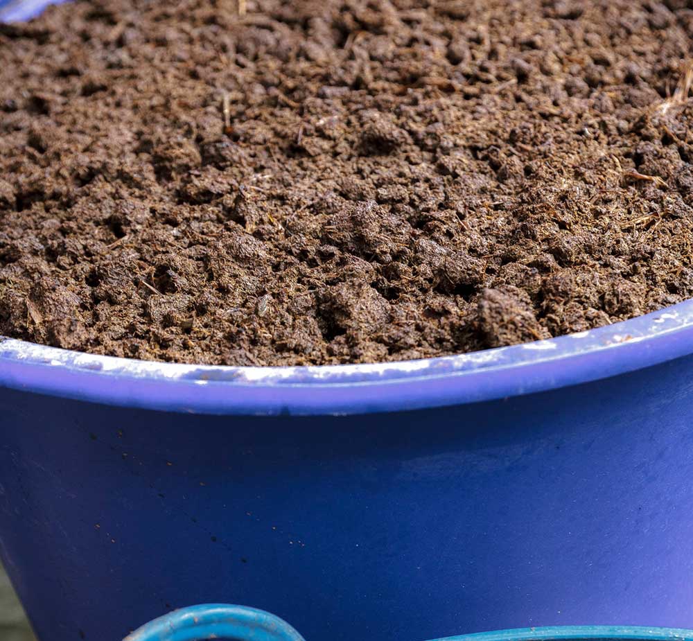 Vườn rau có một không hai với thiết kế ai nhìn lần đầu cũng muốn học tập của cặp đôi trẻ làm thiết kế đồ họa-14