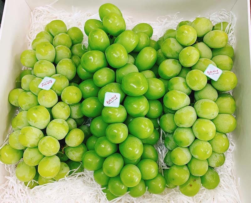 Nho sữa Hàn Quốc 1,2 triệu/kg, mỗi tuần nhập 3 tấn không đủ bán-3