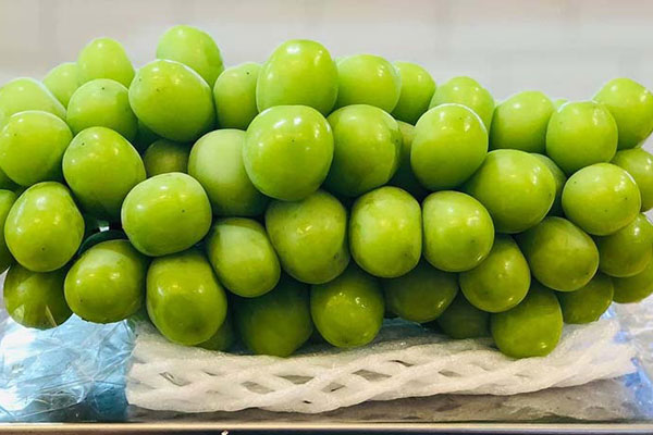 Nho sữa Trung Quốc loạn giá trên chợ mạng-6