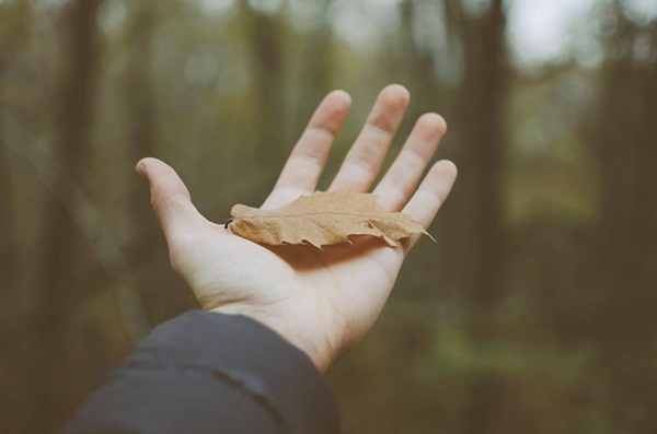 Tử vi thứ Sáu ngày 10/7/2020 của 12 con giáp: Tỵ ăn nên làm ra, Mùi tiểu nhân hãm hại-1