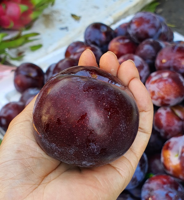 Mận khổng lồ” to bằng quả trứng, ai ăn lần đầu cũng phải bất ngờ: Có phải mận Trung Quốc?-1