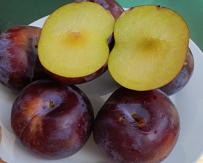 Mận khổng lồ” to bằng quả trứng, ai ăn lần đầu cũng phải bất ngờ: Có phải mận Trung Quốc?-3