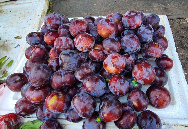 Mận khổng lồ” to bằng quả trứng, ai ăn lần đầu cũng phải bất ngờ: Có phải mận Trung Quốc?-4