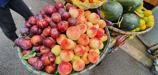 Mận khổng lồ” to bằng quả trứng, ai ăn lần đầu cũng phải bất ngờ: Có phải mận Trung Quốc?-5