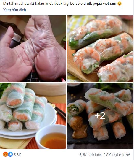 Món gỏi cuốn đặc sản của Việt Nam bị một trang ẩm thực nước ngoài ví như da chân người khiến cộng đồng mạng phẫn nộ-1
