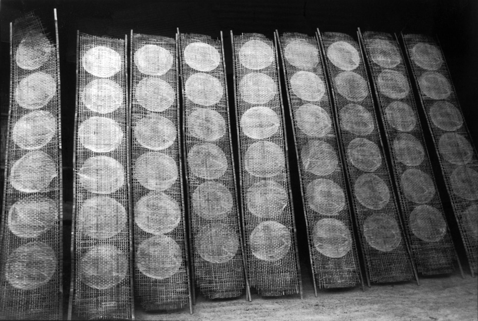 Món gỏi cuốn đặc sản của Việt Nam bị một trang ẩm thực nước ngoài ví như da chân người khiến cộng đồng mạng phẫn nộ-5